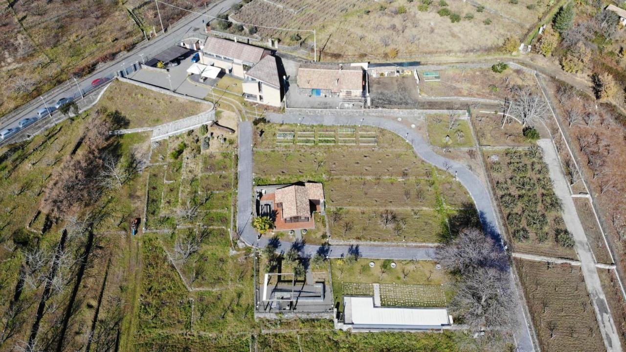 Cirasa Luxury Country House 特雷卡斯塔尼 外观 照片